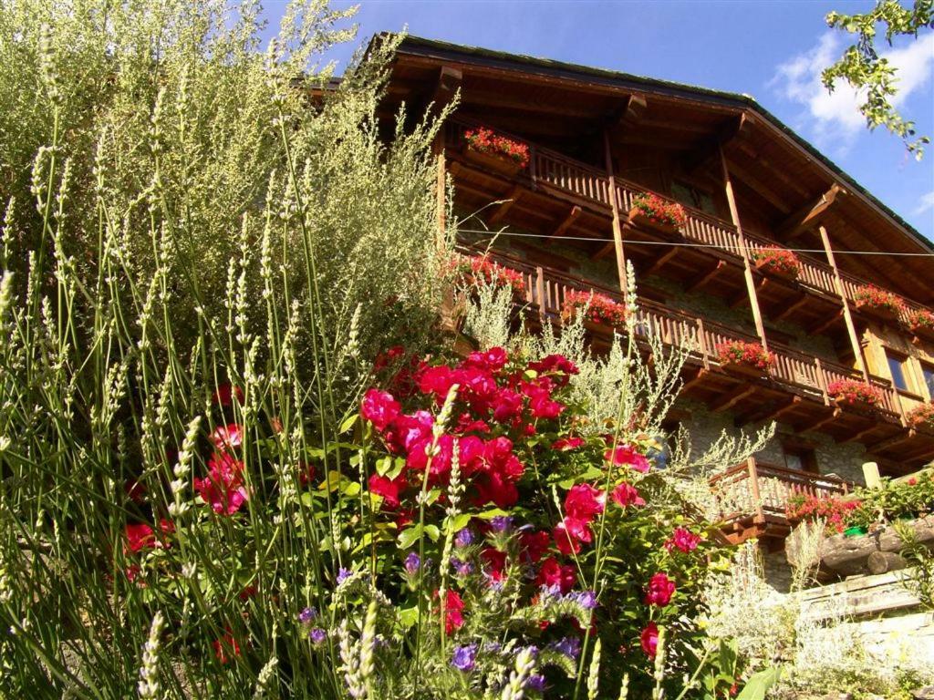 Maison De Frein Allein Bagian luar foto